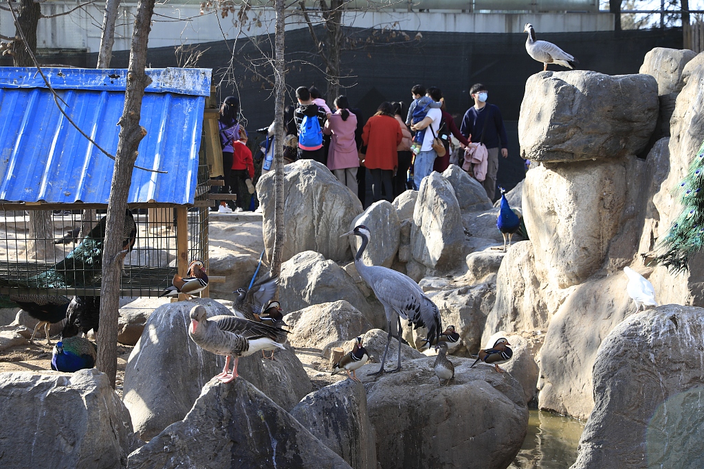 西安:探访世博园萌宠馆 动物萌态十足