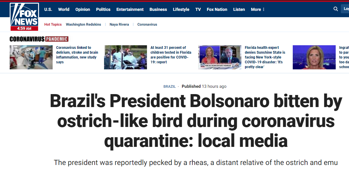 福克斯新闻：巴西当地媒体消息，巴西总统博索纳罗在新冠隔离期间被类似鸵鸟的鸟咬伤