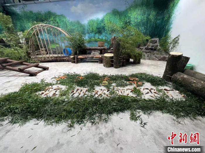 杭州动物园保育员们用新鲜竹叶、竹笋、胡萝卜和南瓜拼出了“春生香果,杭州欢迎你们”的字样。 王题题 摄