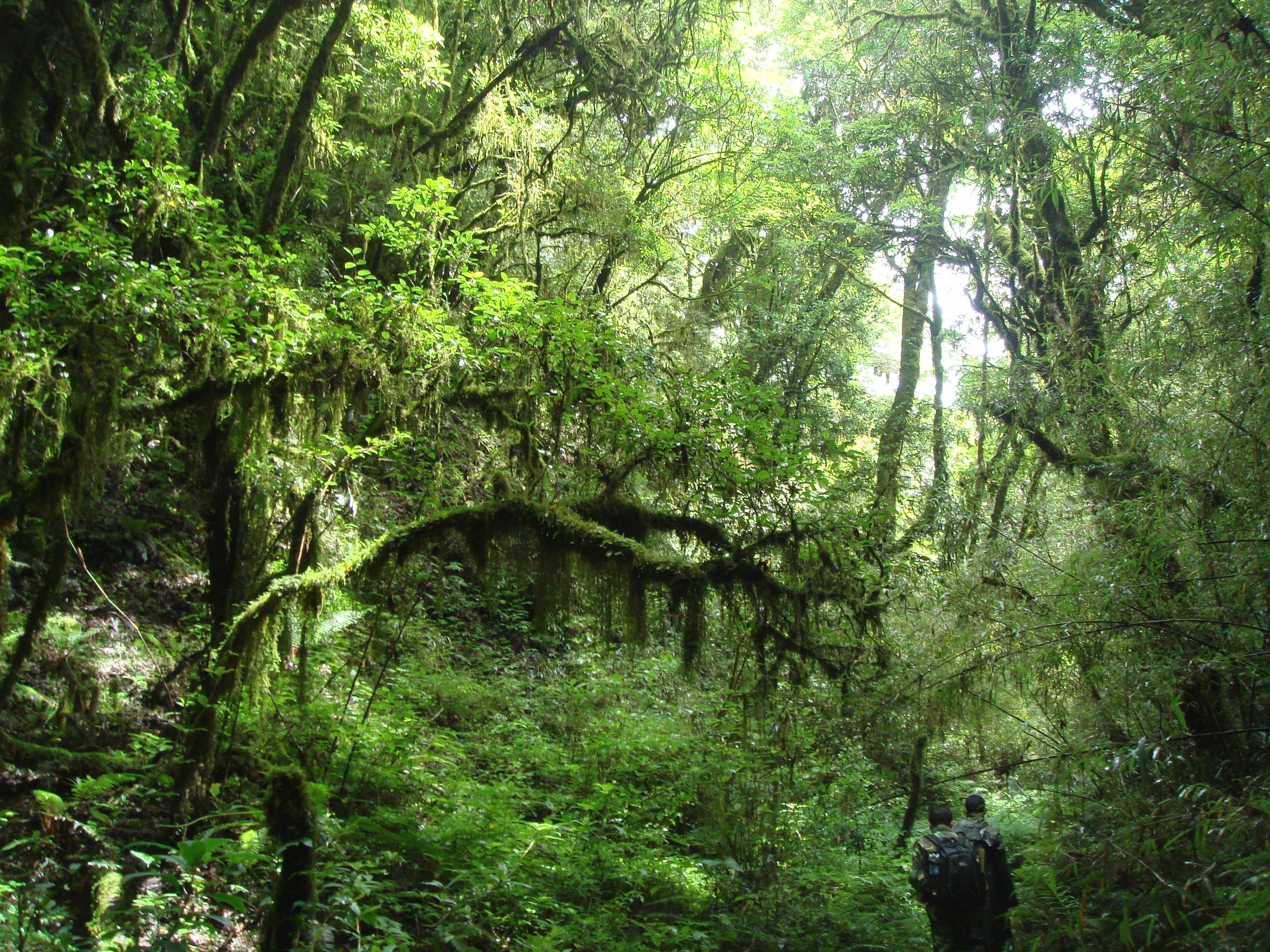 哀牢山三夜一篇篇幅是见报稿两倍的采访手记