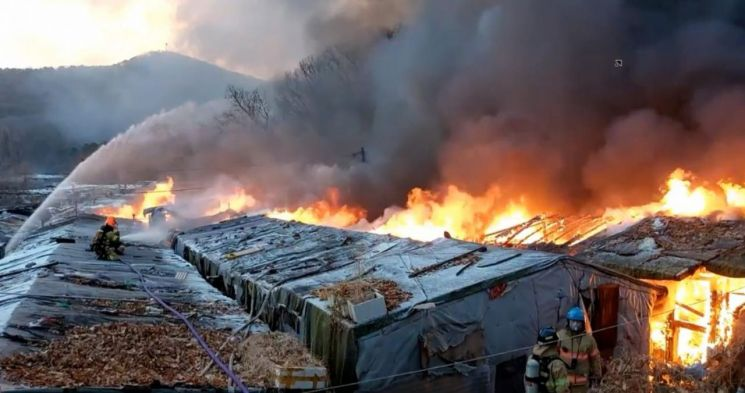 韩国消防人员正在火灾现场灭火。 图自韩媒