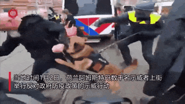 ▲ 2022年1月2日，数千名示威者聚集在荷兰阿姆斯特丹博物馆广场附近，举行反对政府防疫政策的示威行动。荷兰警方与之发生冲突，甚至放出警犬撕咬示威者。