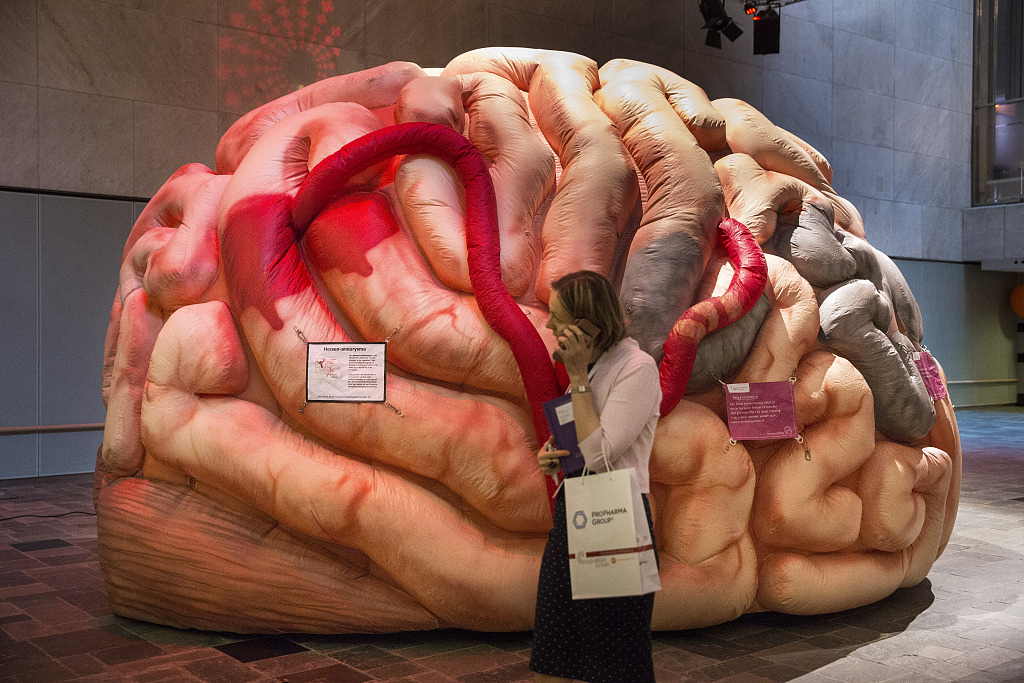 荷兰举办健康创新大会充气大脑形态逼真