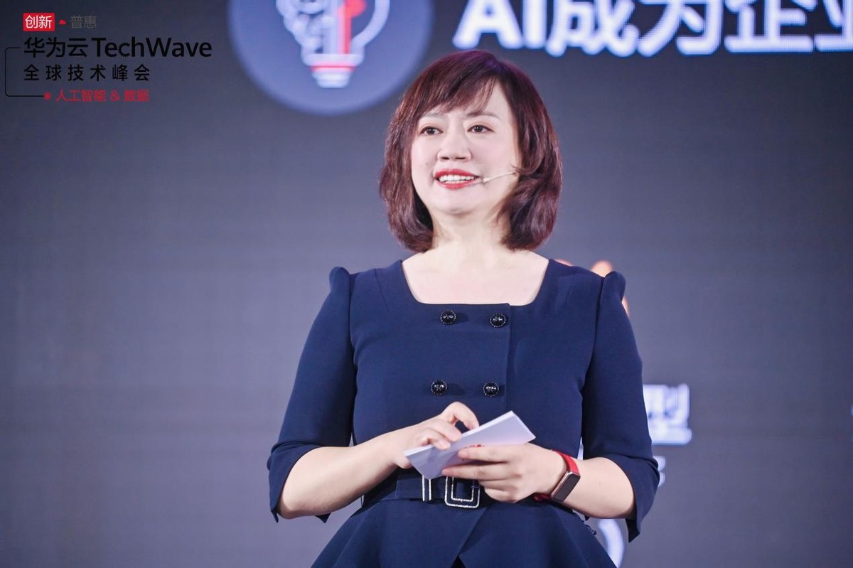 数据联袂ai华为云打通云原生的任督二脉