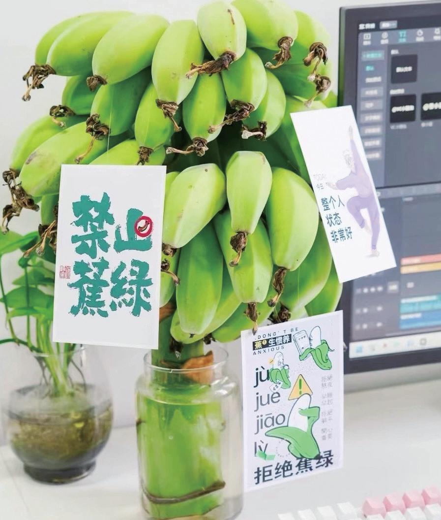 在办公室种植的“禁止蕉绿”。