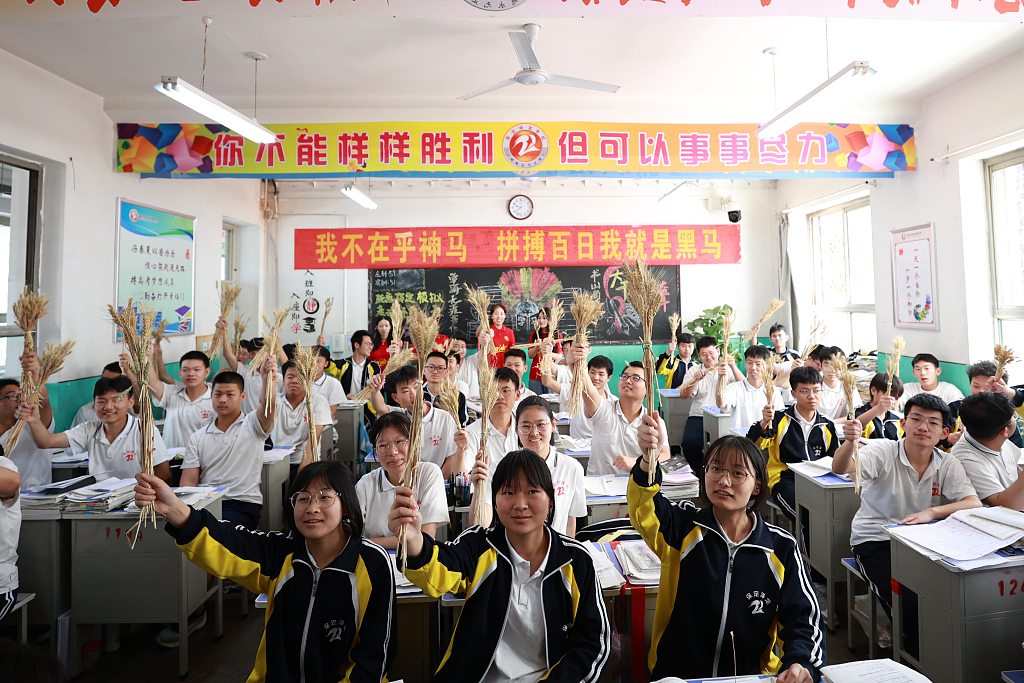 2021年6月5日,河北保定,時值芒種澤龍實驗中學高三老師從地裡割麥子