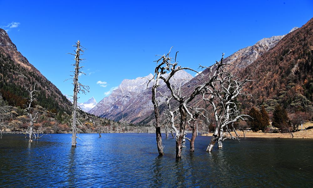 四川阿坝四姑娘山双桥沟美景如画