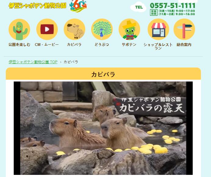 伊豆仙人掌动物公园官网截图