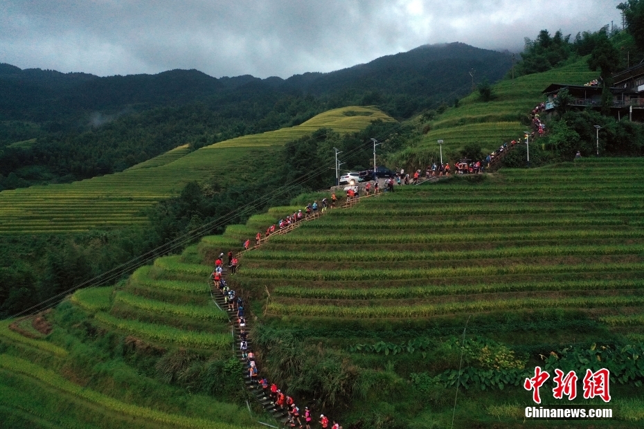 图为选手们奔跑在梯田间。图/CNSphoto 韦吉阳 摄
