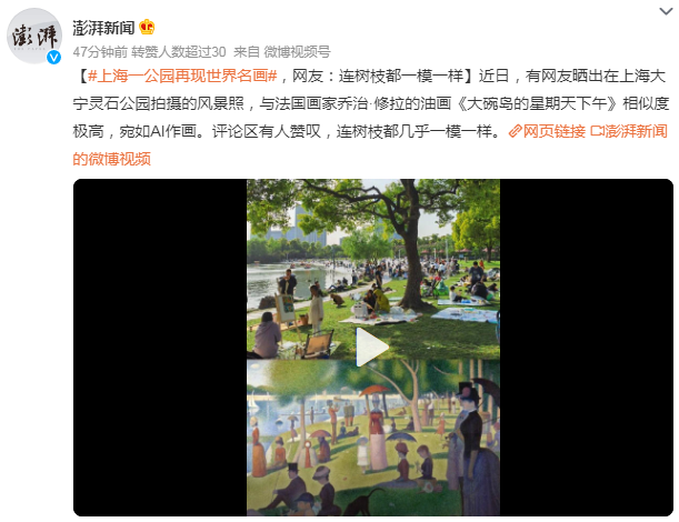 上海一公园再现世界名画,网友:连树枝都一模一样