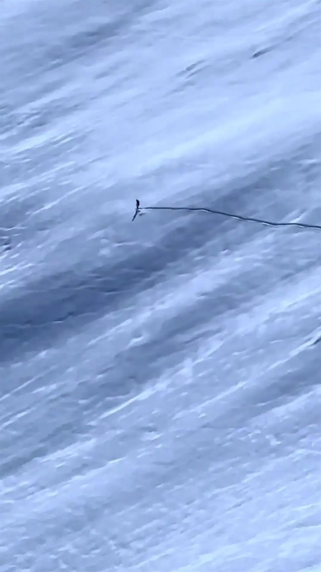 男子滑雪滑到边境线（视频截图）