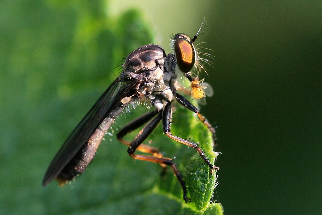 杭州小伙去湘湖走了一圈双腿被咬成这样最近多人中招