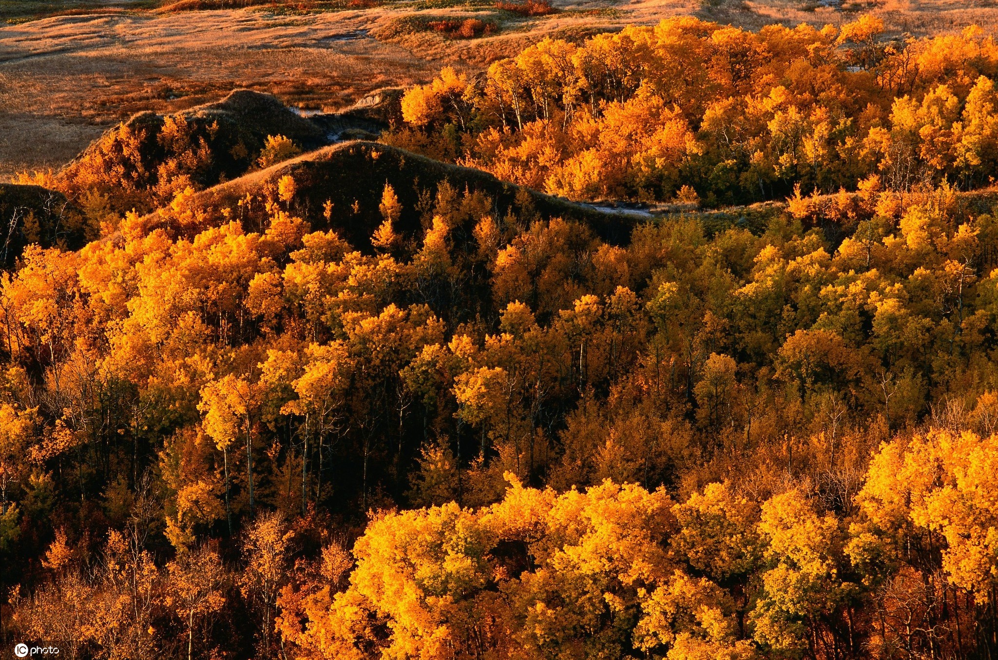 秋天是一个美丽的季节,在这个季节里大地被涂上绚烂的色彩,红的,黄的