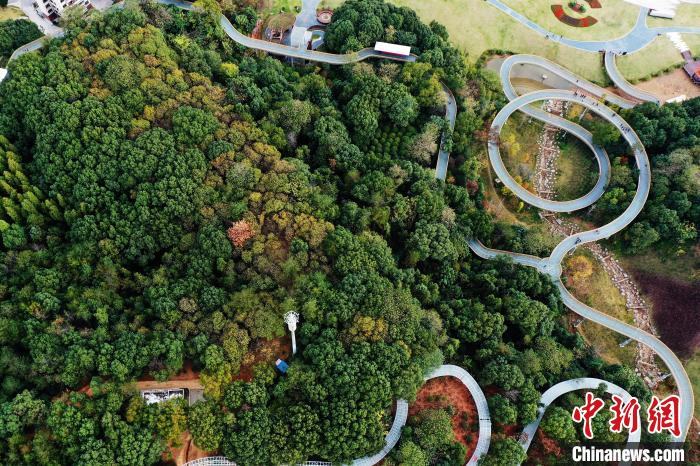 步道蜿蜒盘山而上，叠翠群峰，盘旋辗转，采用的是钢架镂空设计，是江西唯一的钢架镂空步道。 刘占昆 摄