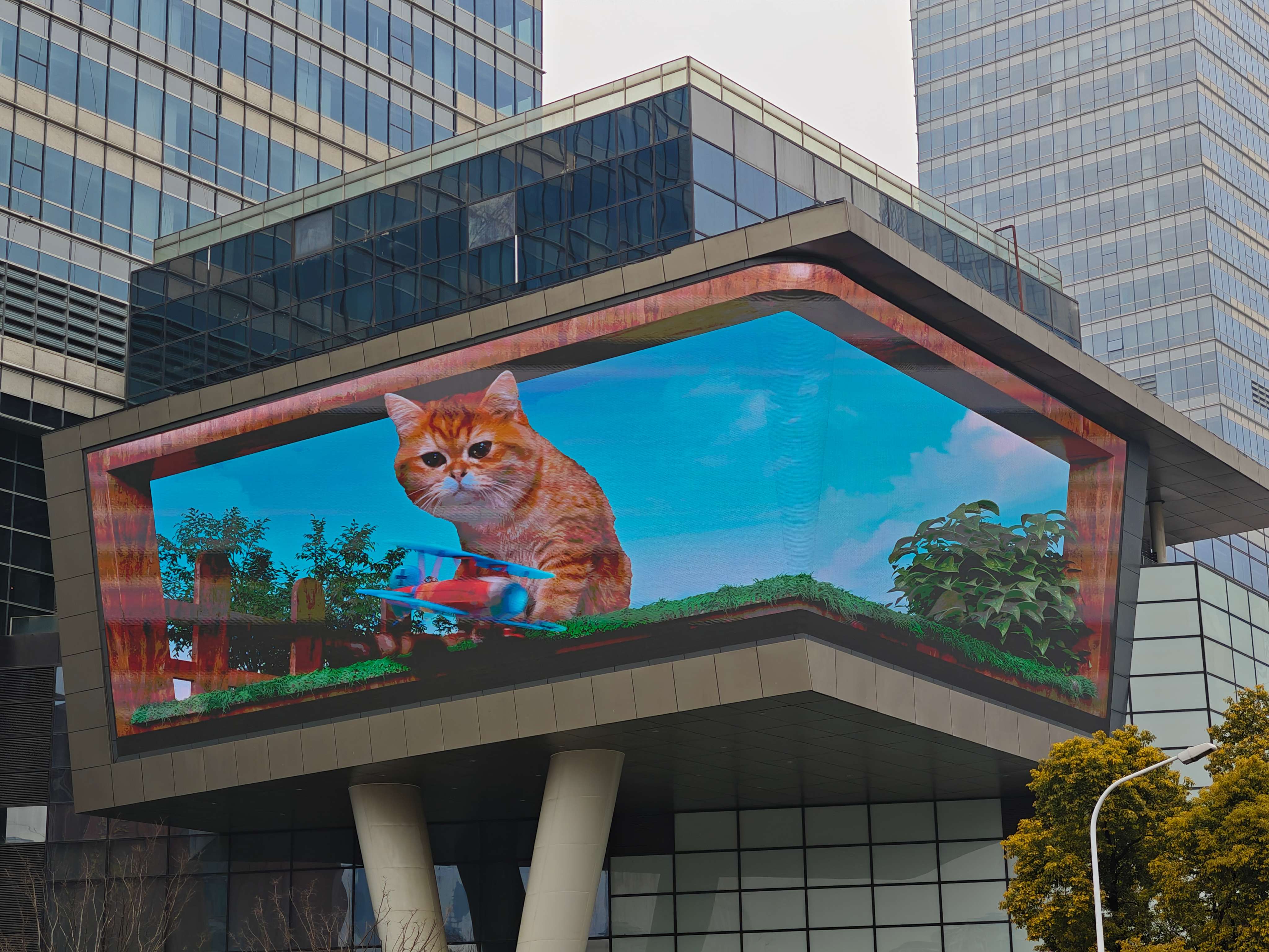 湖北武汉裸眼3d橘猫亮相500平方米华中主轴之窗