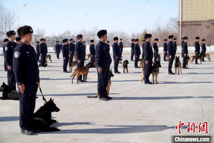 53名带犬民警结束培训将带领自繁警犬奔赴一线。 孙汉仑 摄