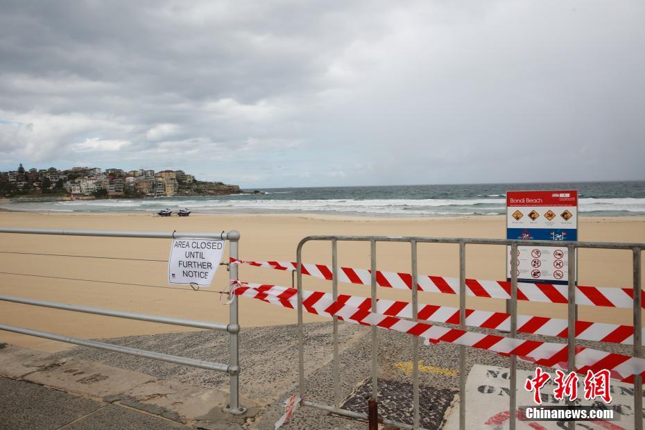 亲历悉尼封城首日