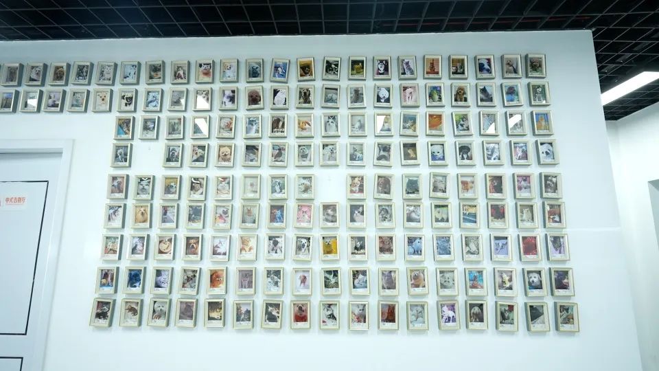 武汉宠物殡葬业兴起殡葬师5年送走5000只