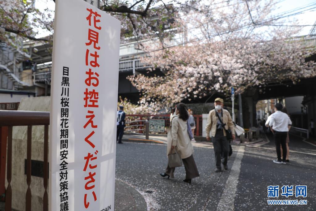 这是4月1日在日本东京目黑川附近的赏樱景点拍摄的防疫告示板。新华社记者 杜潇逸摄 