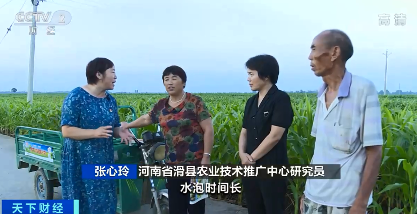 河南1450万亩农作物受灾,绝收550万亩!河南暴雨对我国粮食生产全局影响几何?官方回应