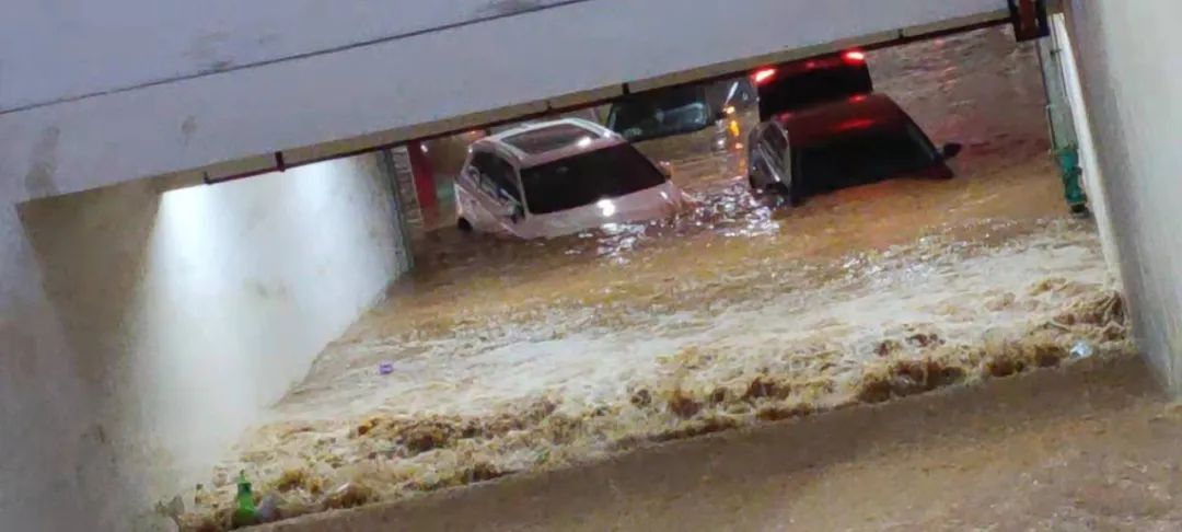 一觉醒来车库全淹了浙江女子我是惊慌中从窗户爬出来的