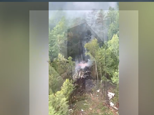 “Ren.tv”网站报道所配视频中的画面