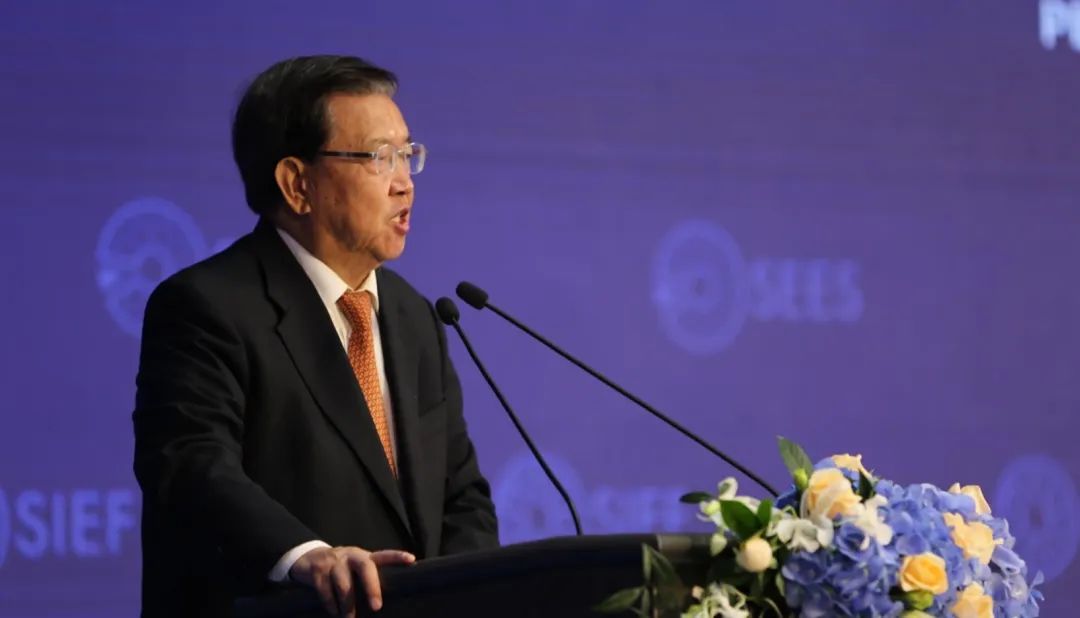 龙永图前对外经贸部副部长，中外企业家联合会联合主席