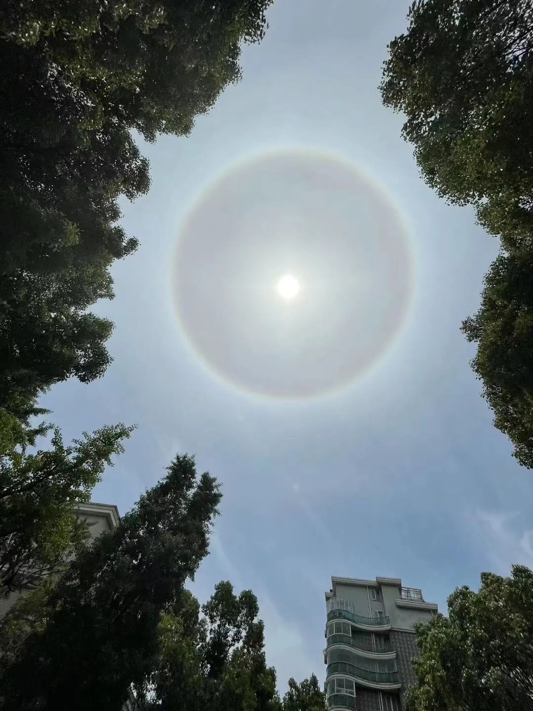 今天申城天空出现美丽日晕～小布网友们发来一大波图片