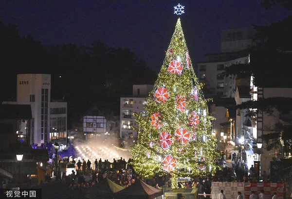 当地时间2019年11月15日，日本东部群马县草间温泉度假胜地，一棵14米高的圣诞树被点亮。