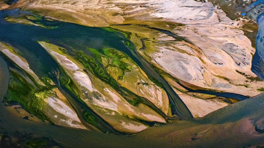 ↑山东省济宁市泗河湿地景色。