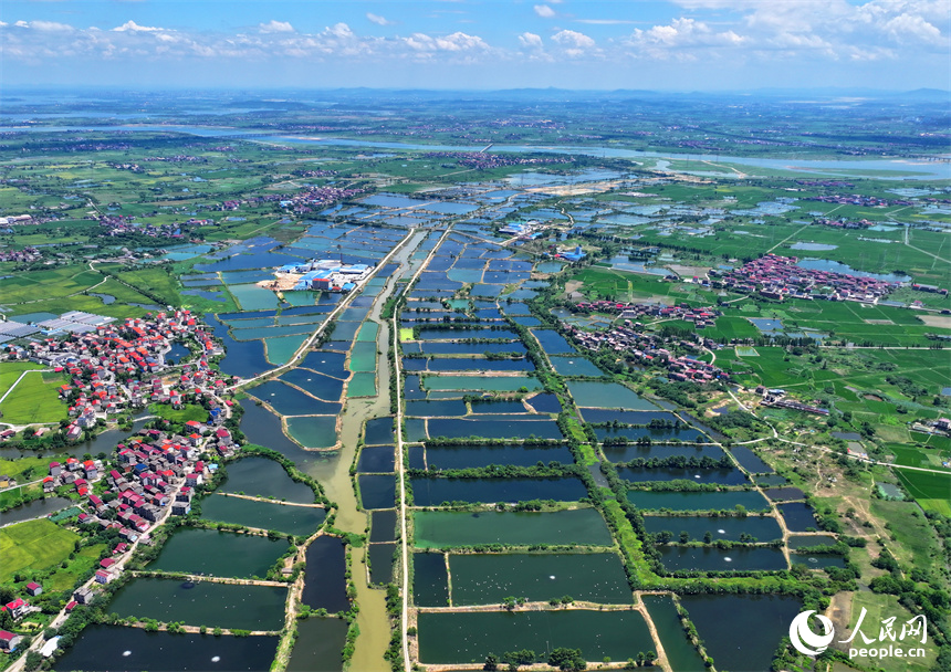 南昌县是全国著名的商品粮基地,渔业重点县,享有"江南粮仓""鱼米之乡"