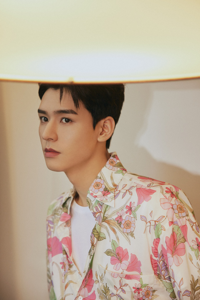 龚俊花衬衫配粉裤子生图超扛打