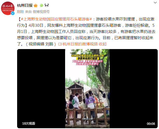 上海野生动物园回应“猩猩拿石头砸游客”(图1)