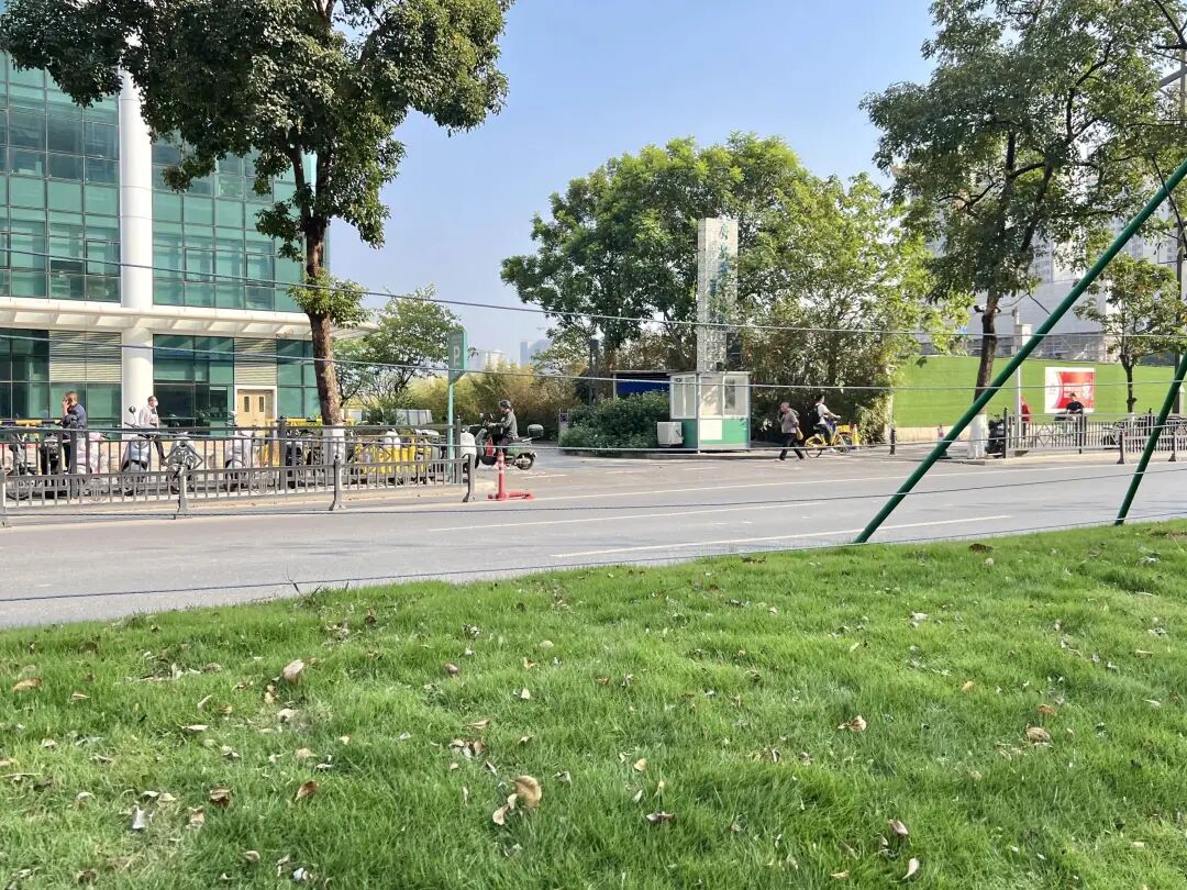 靠近地铁站的这块草地突然绿油油