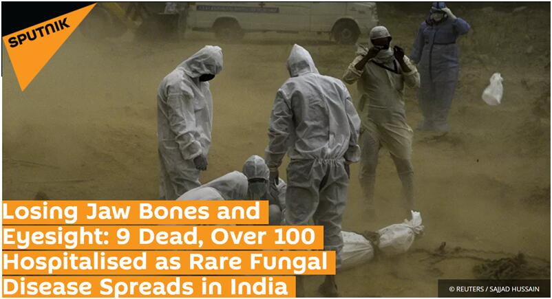 俄卫星社：可能会失去颚骨和视力：罕见的真菌疾病在印度蔓延，已致9人死亡，100多人住院治疗