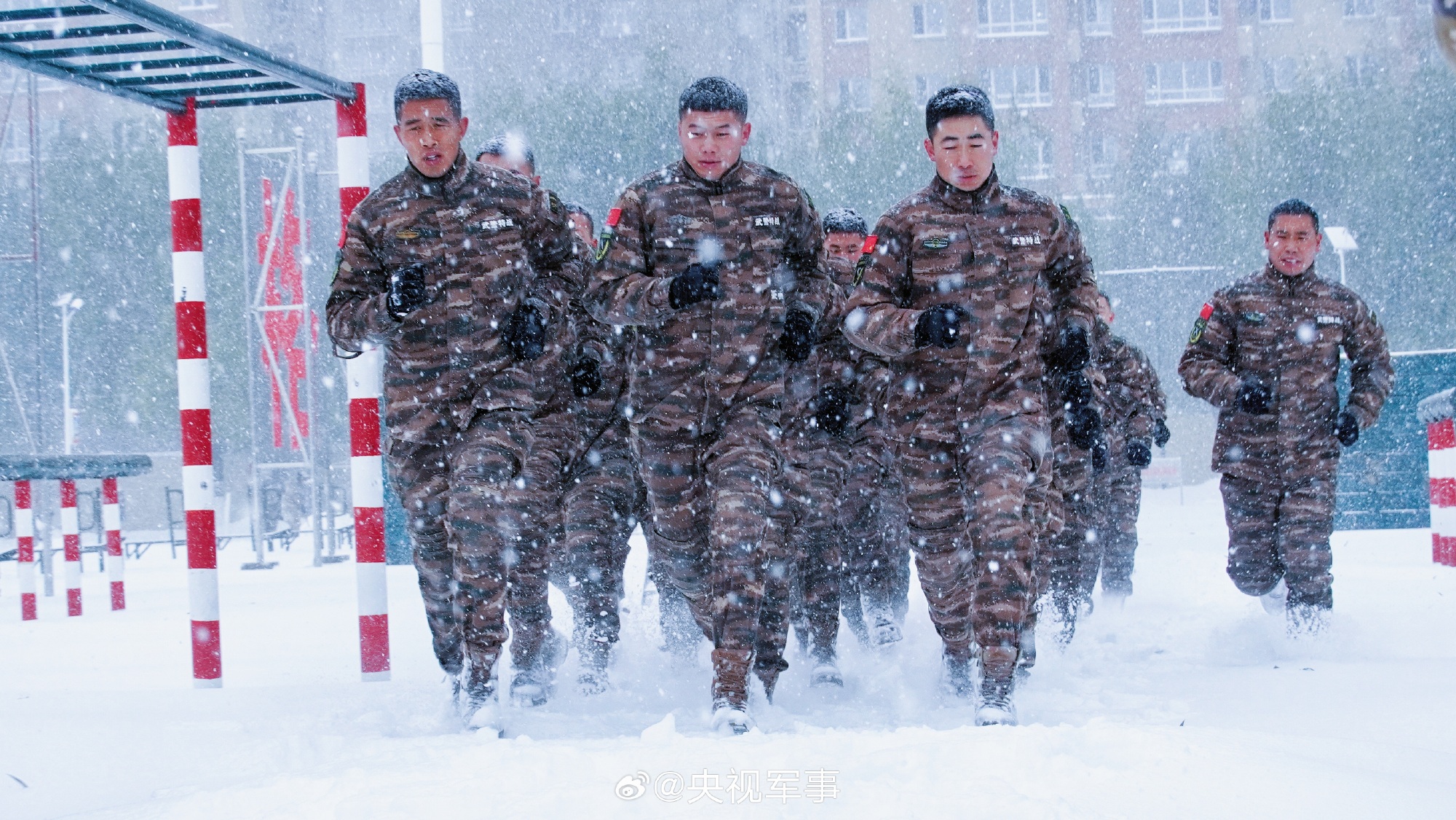 武警黑龙江总队某部组织特战分队开展雪地搏击训练