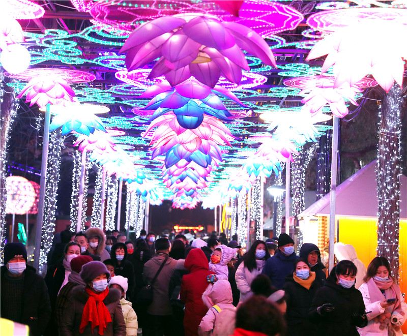 乌鲁木齐花灯展图片