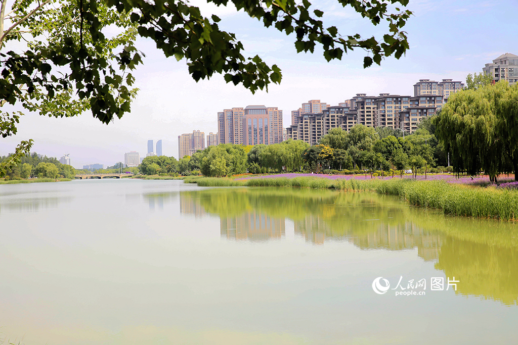 8月14日，宁夏回族自治区银川市典农河畔美景。近年来，银川市持续推进生态文明建设，生态环境大幅改善。人民网记者 阎梦婕摄