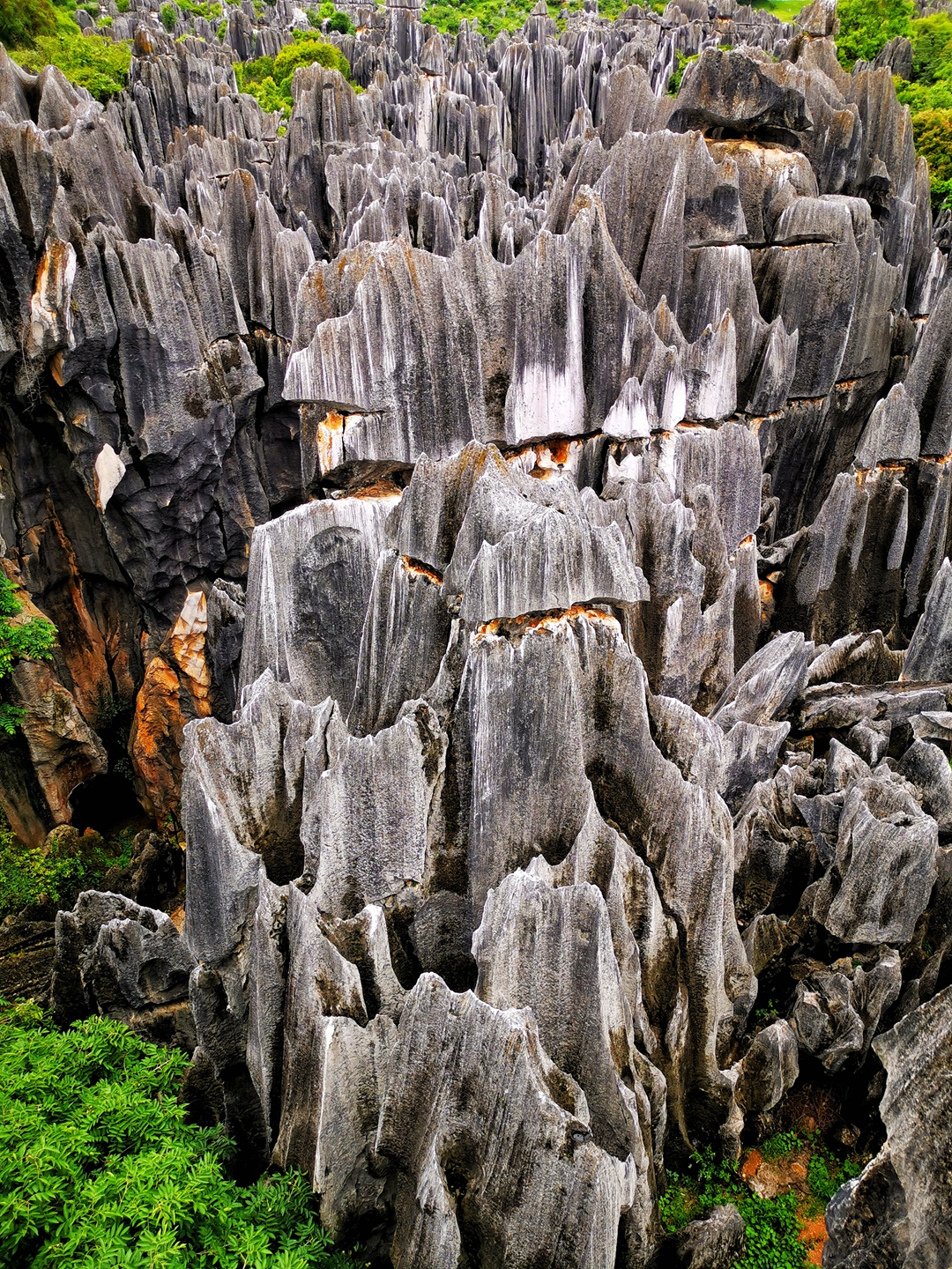 世界自然遗产:云南石林,亿万年形成的地质奇观
