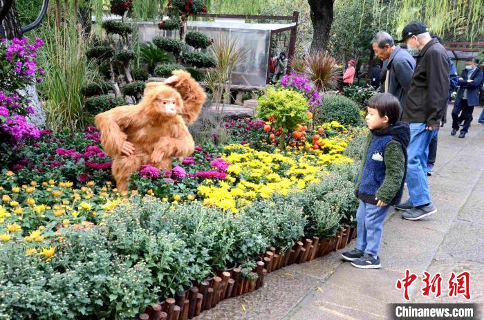 10月25日，第41届趵突泉金秋菊展在山东济南天下第一泉风景区开幕。本届菊展以“菊韵趵突、泉甲天下”为主题，400多个菊花品种，8万余盆菊花，依托泉水自然景观，展现生态济南之美。 孙婷婷 摄