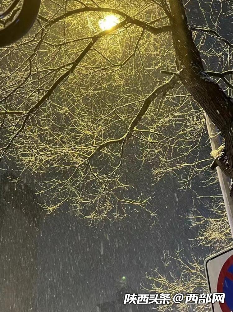 11月11日西安大雪纷飞 来源：网友 張粉