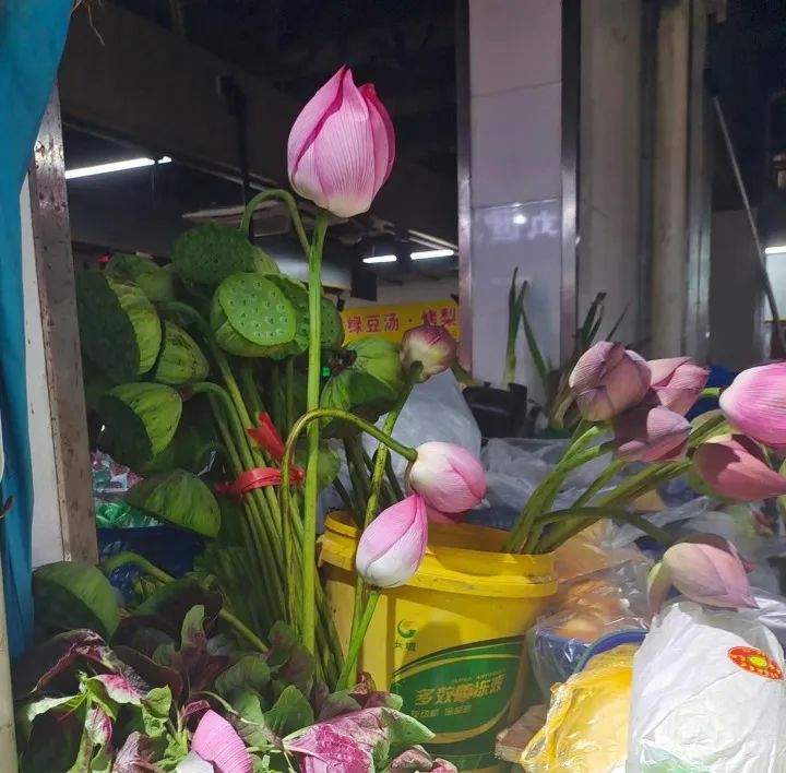 中河农贸市场里买菜摊位上,正在销售的荷花与莲蓬