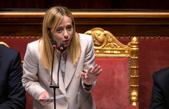 梅洛尼 资料图 图源：IC photo