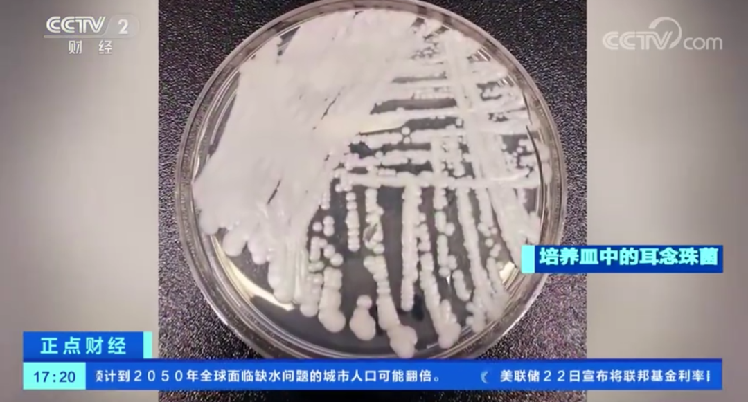 截图自：央视财经
