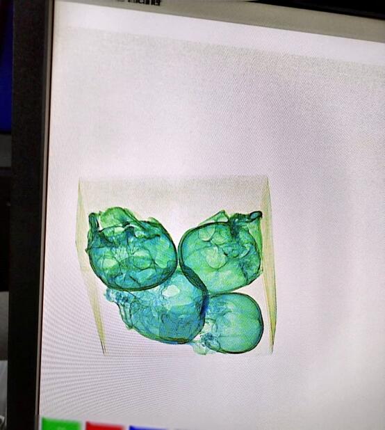 国民警卫队用X光设备检测到的四个人类头骨 图源：外媒