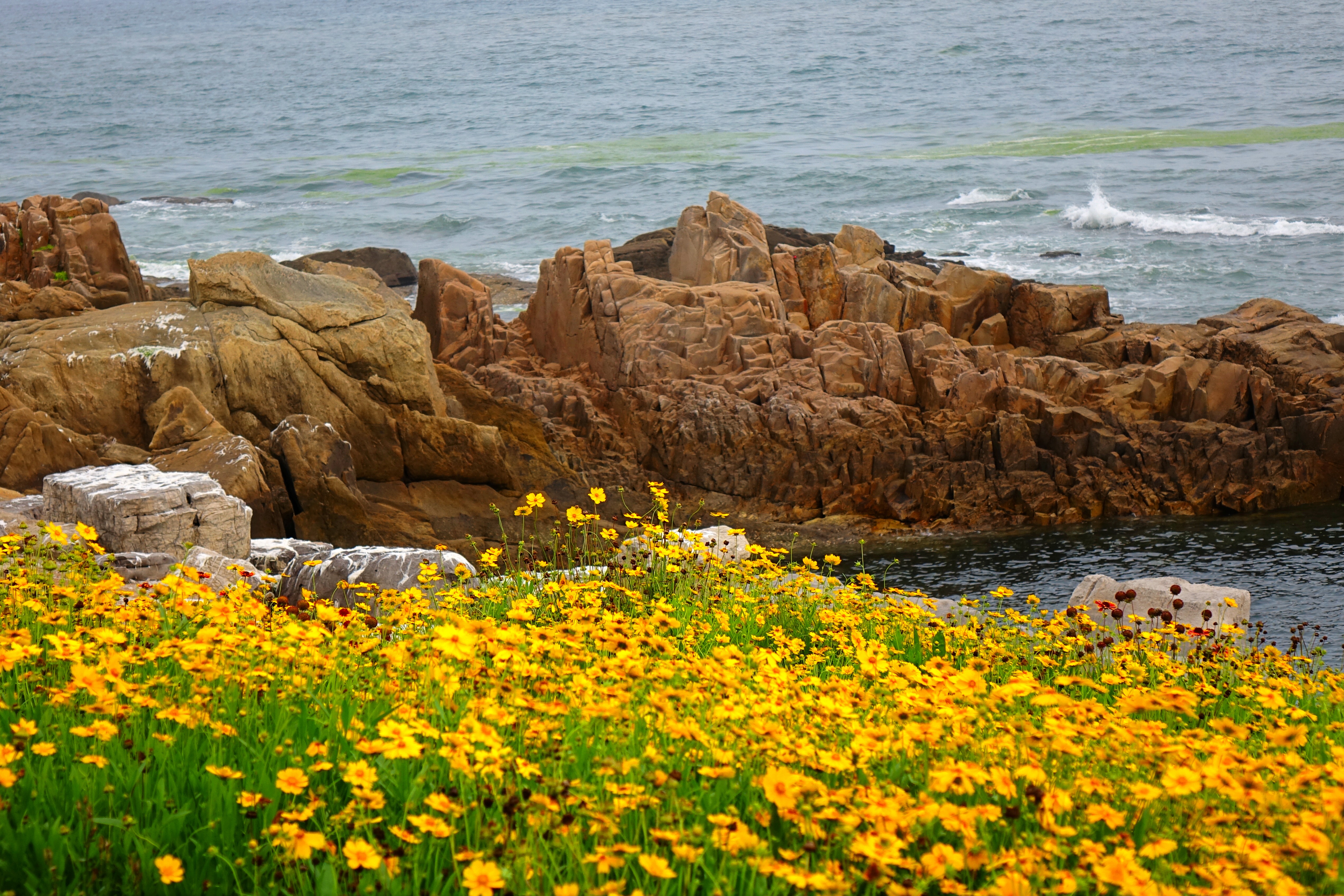 盛夏时节山东青岛海滨美景如画
