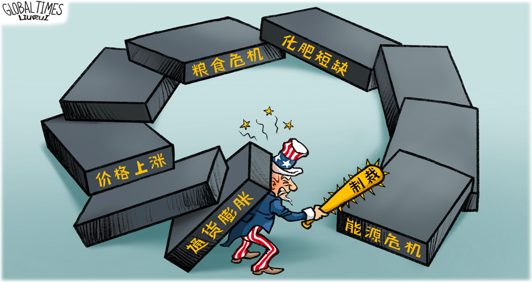 却引发能源危机,化肥短缺,粮食危机,通货膨胀等一系列全球性问题,终将