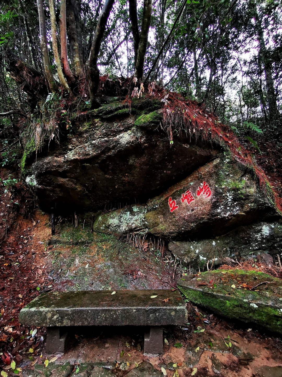 世界文化与自然双重遗产:武夷山,钟灵毓秀的洞天福地