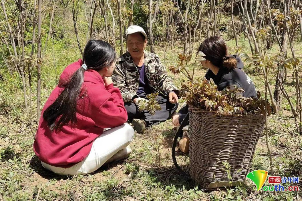 孟雨晴（左一）正在和当地村民交流香椿种植经验。本人供图