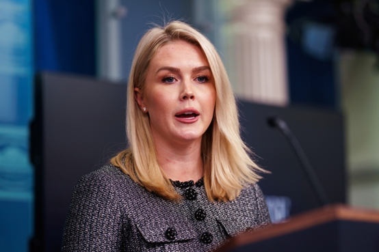 莱维特 资料图 图源:IC photo